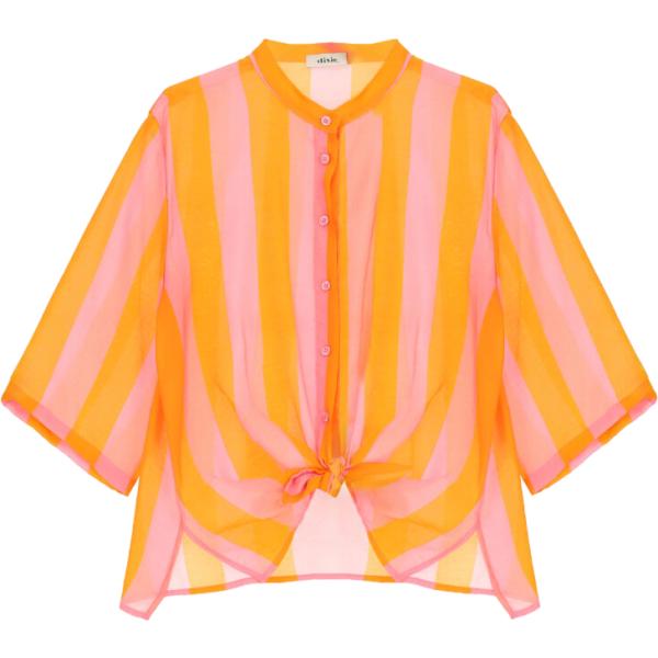 camicie Dixie multicolore a righe