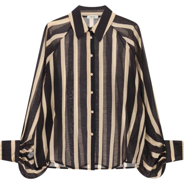 camicie Dixie marrone a righe
