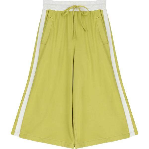 bermuda Dixie verde a righe