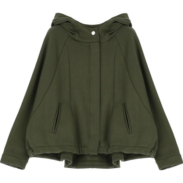 felpe con cappuccio Dixie verde tinta unita