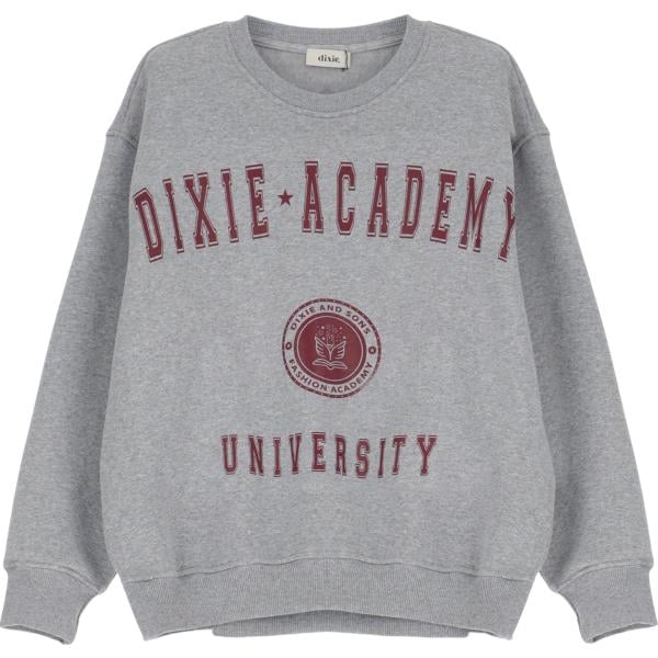 felpe Dixie grigio con stampe