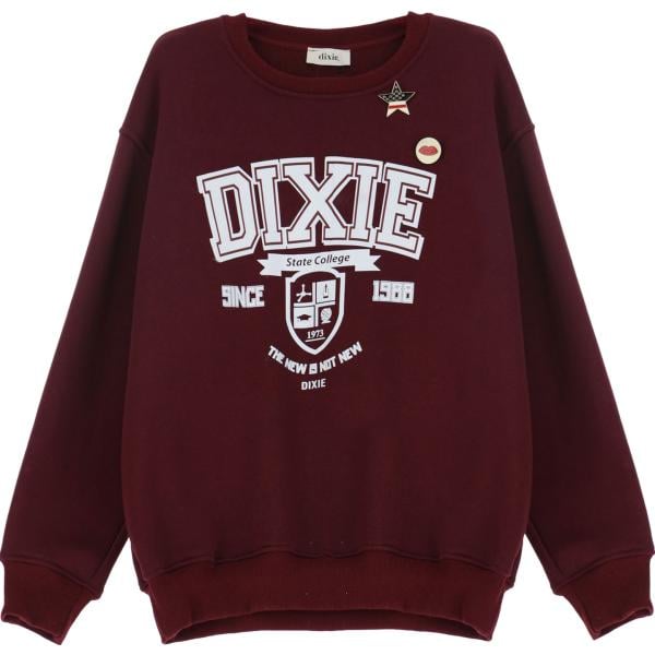 felpe Dixie marrone con stampe