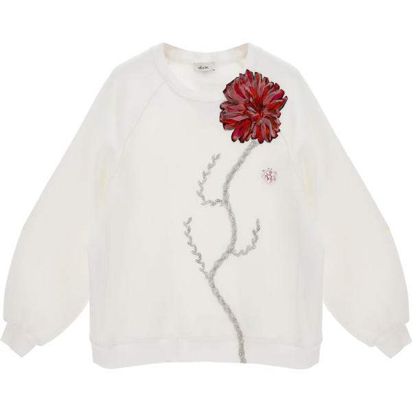 felpe Dixie bianco con stampe