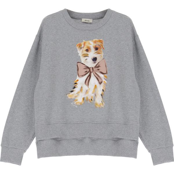 felpe Dixie grigio con stampe