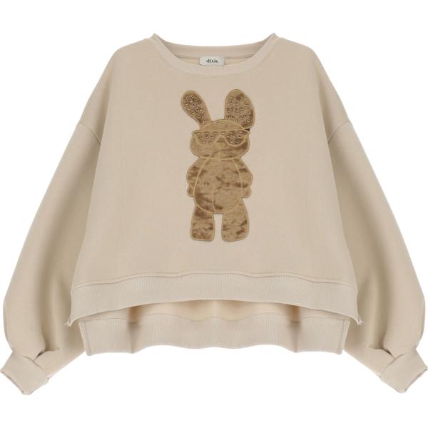 felpe Dixie grigio con stampe