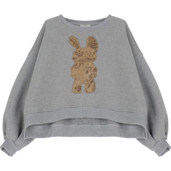 felpe Dixie grigio con stampe