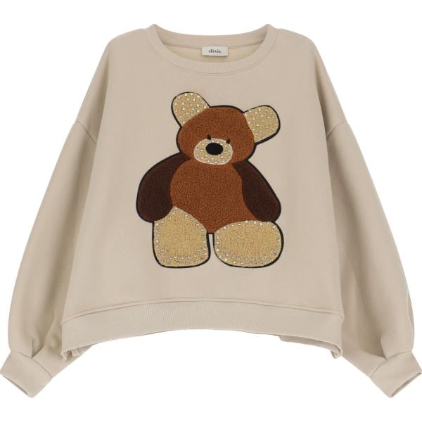 felpe Dixie marrone con stampe