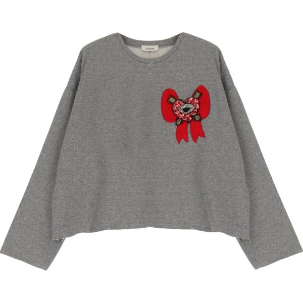 felpe Dixie grigio con stampe