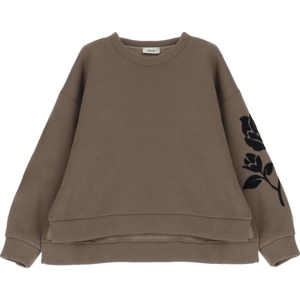 felpe Dixie marrone con stampe