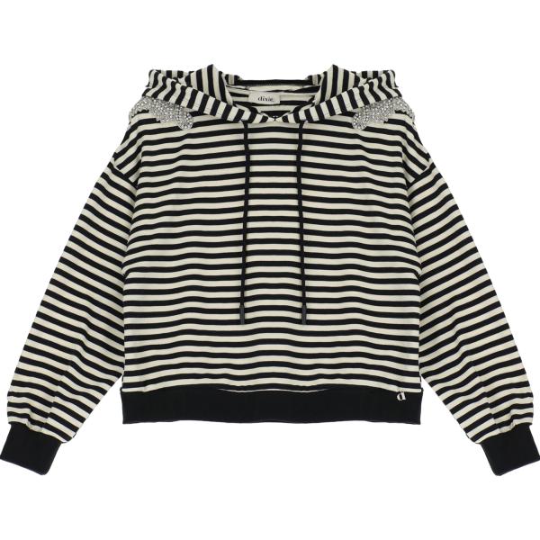 felpe con cappuccio Dixie multicolore a righe