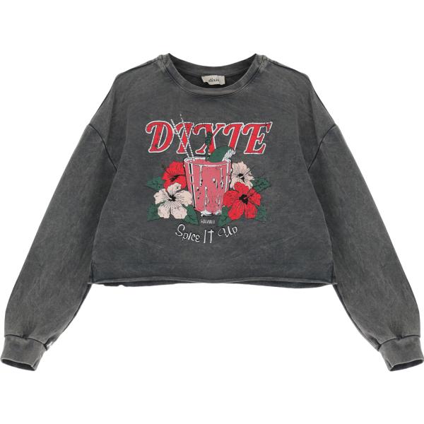 felpe Dixie grigio con stampe