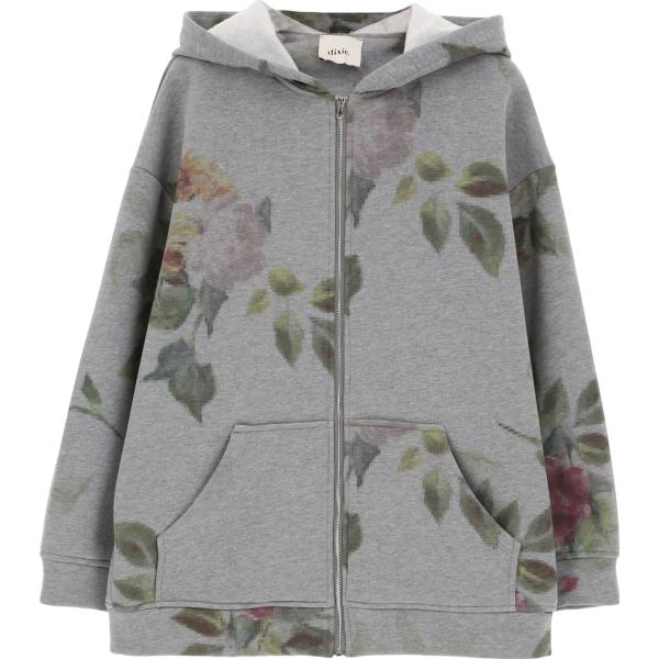 felpe con cappuccio Dixie grigio