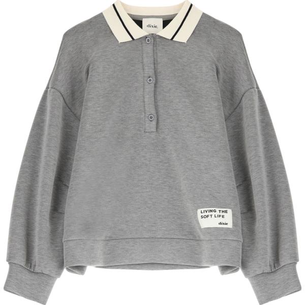 felpe Dixie grigio