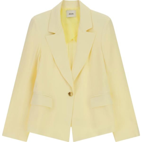 blazer Dixie marrone