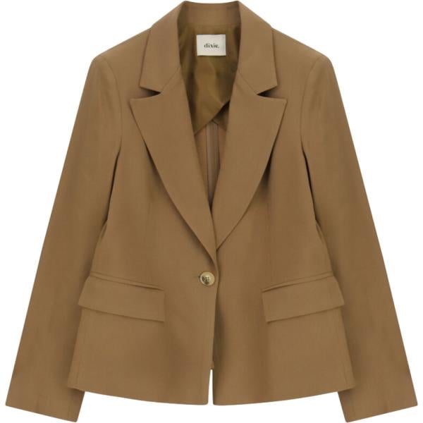 blazer Dixie marrone