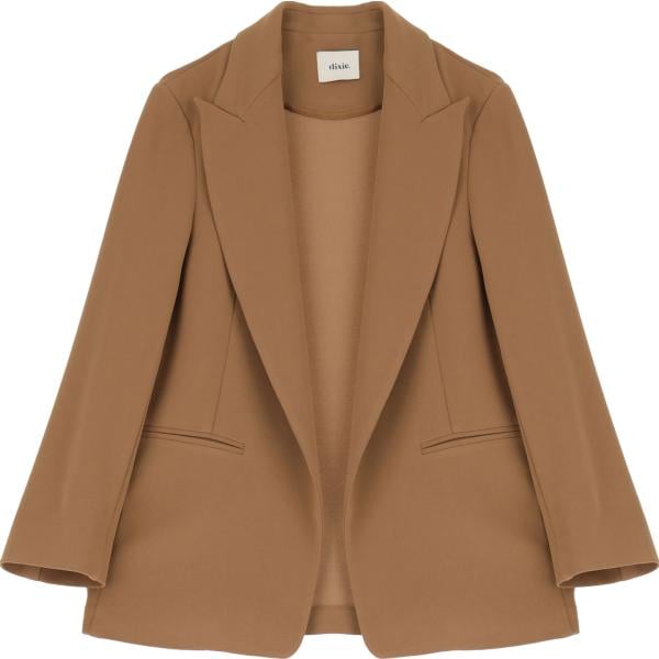 blazer Dixie marrone