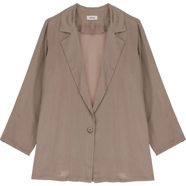 blazer Dixie marrone