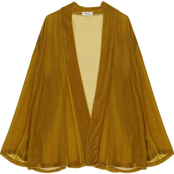 blazer Dixie marrone