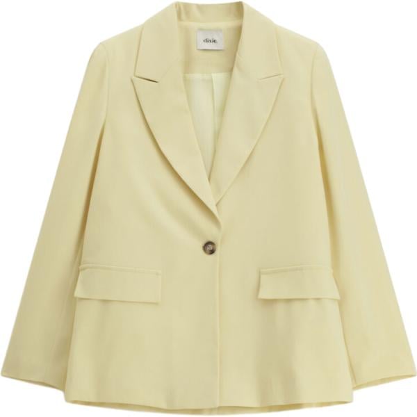 blazer Dixie marrone