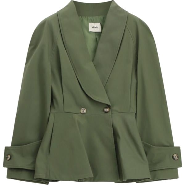 blazer Dixie verde