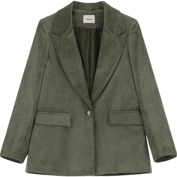 blazer Dixie verde