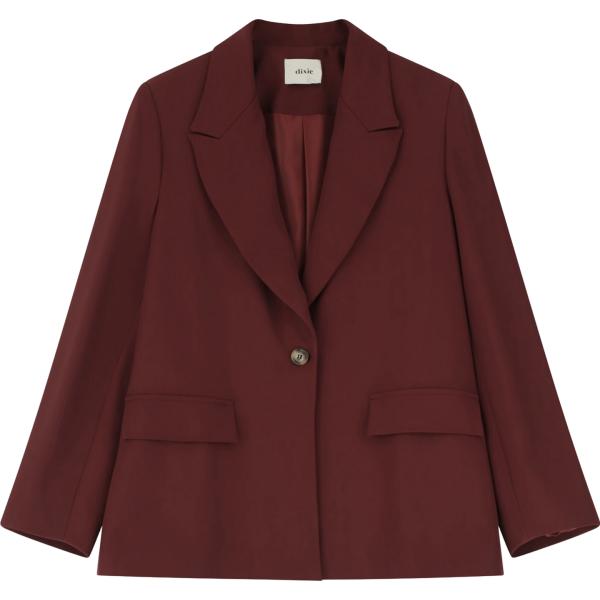 blazer Dixie marrone