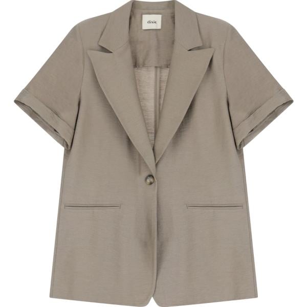 blazer Dixie grigio