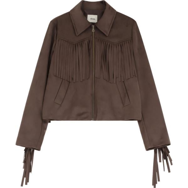 blazer Dixie marrone