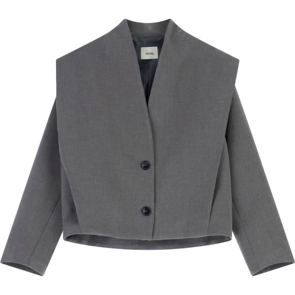 blazer Dixie grigio