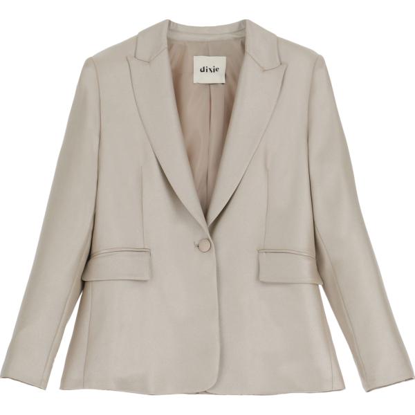 blazer Dixie grigio