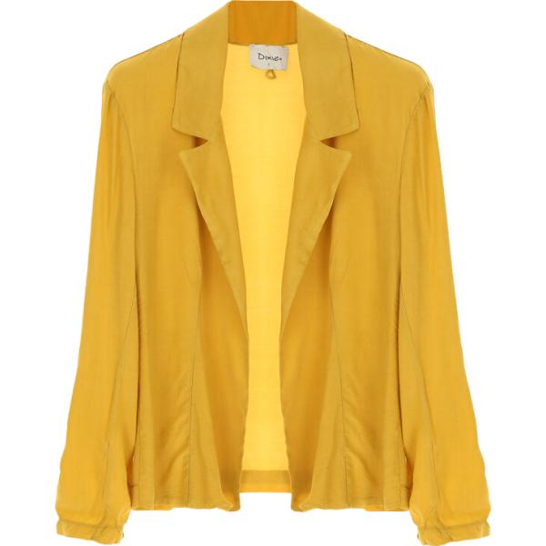 blazer Dixie marrone