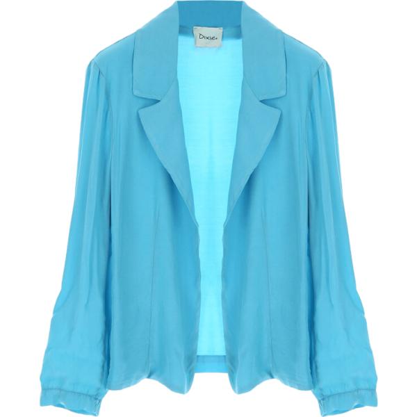 blazer Dixie blu