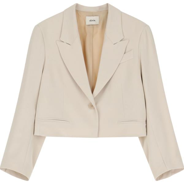 blazer Dixie grigio
