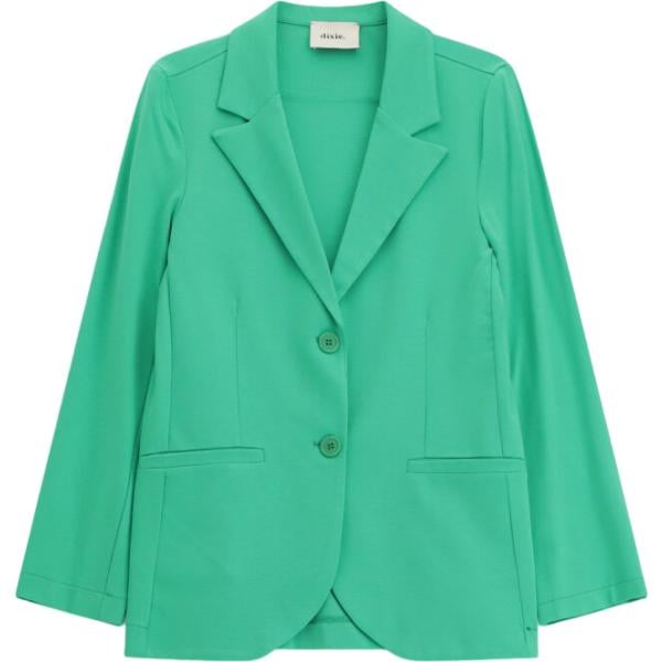 blazer Dixie verde