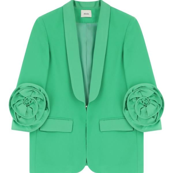 blazer Dixie verde