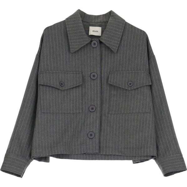 blazer Dixie grigio