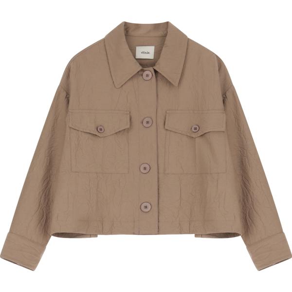blazer Dixie marrone