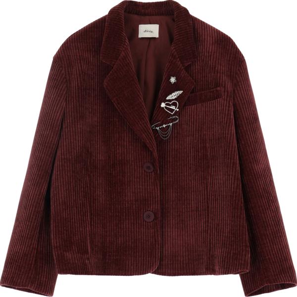 blazer Dixie marrone