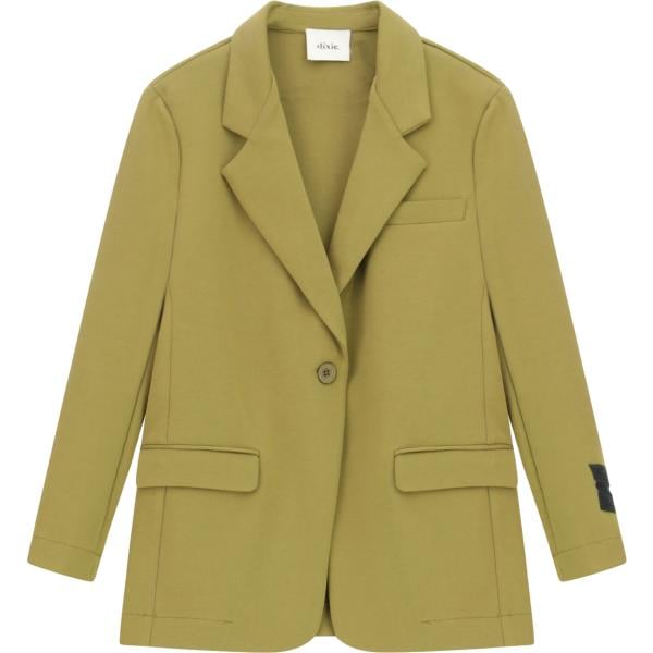 blazer Dixie verde