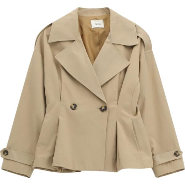 blazer Dixie marrone