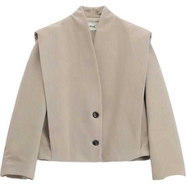 blazer Dixie marrone