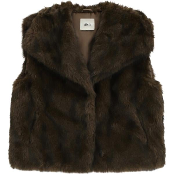 camicie Dixie marrone