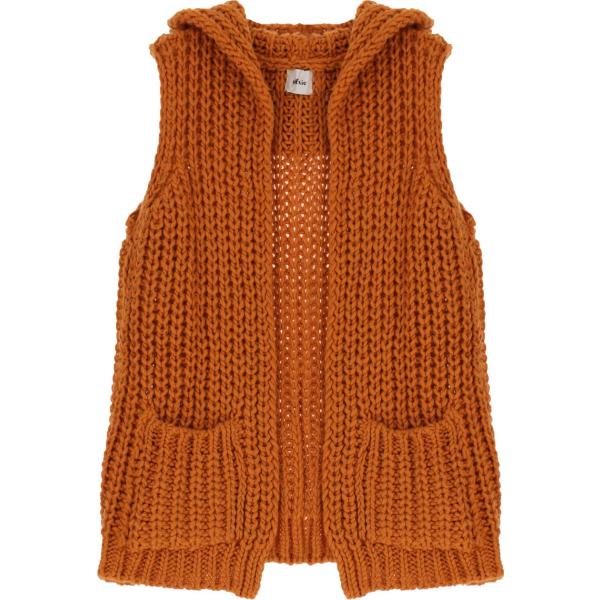gilet Dixie marrone tinta unita