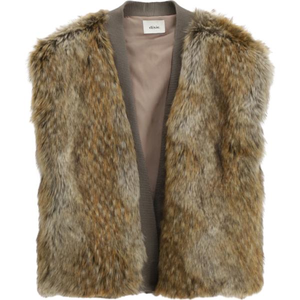 cappotti Dixie marrone