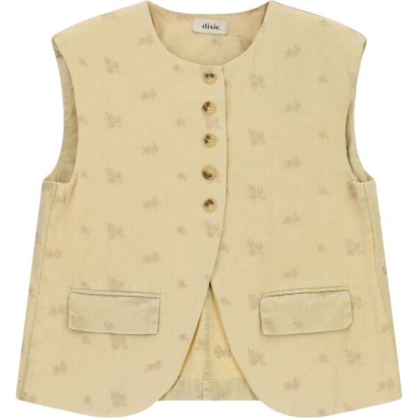 gilet Dixie marrone