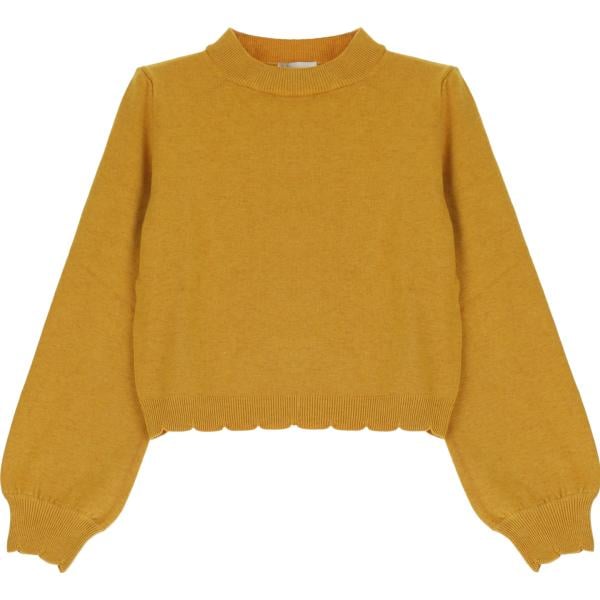 pullovers Dixie marrone tinta unita