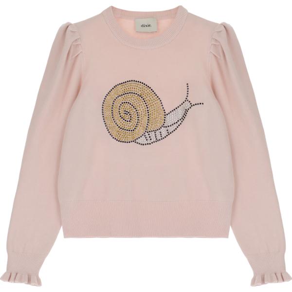 pullovers Dixie marrone con stampe