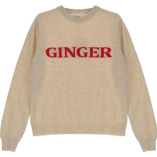 pullovers Dixie marrone con stampe