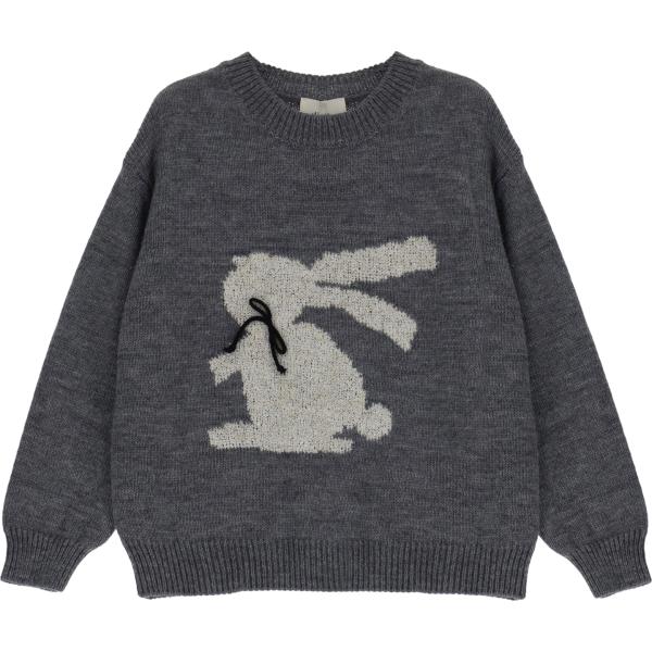 pullovers Dixie grigio con stampe
