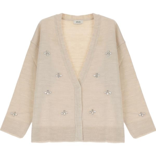 cardigans Dixie marrone
